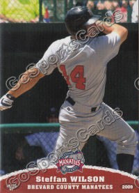 2009 Brevard County Manatees Steffan Wilson