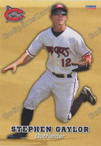2016 Carolina MudCats Stephen Gaylor