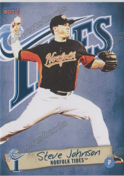 2014 Norfolk Tides Steve Johnson