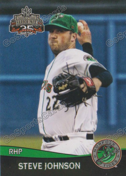 2017 Norfolk Tides Steve Johnson