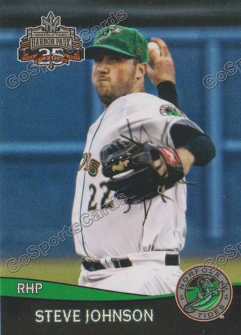 2017 Norfolk Tides Steve Johnson