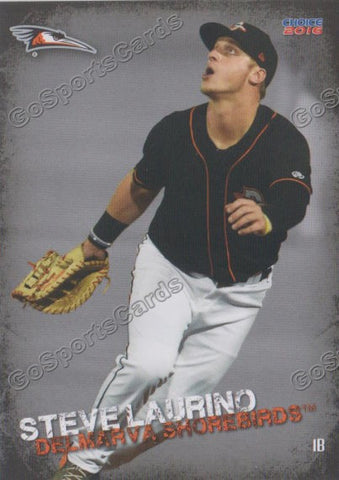 2016 Delmarva Shorebirds Steve Laurino