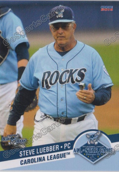 2014 Carolina League All Star Steve Luebber