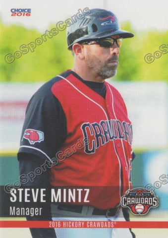 2016 Hickory Crawdads 2nd Steve Mintz