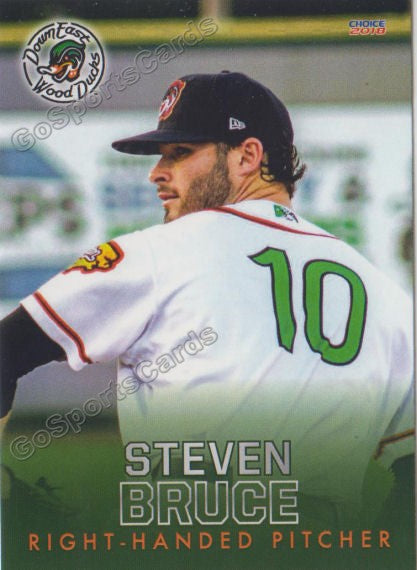 2018 Down East Wood Ducks Steven Bruce