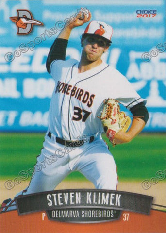 2017 Delmarva Shorebirds Steven Klimek