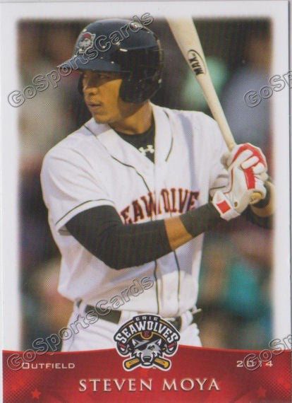2014 Erie Seawolves Steven Moya