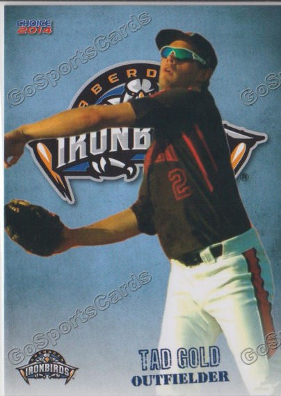 2014 Aberdeen Ironbirds Tad Gold