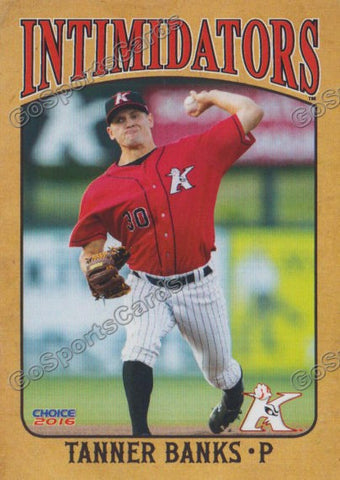  2016 Kannapolis Intimidators Tanner Banks