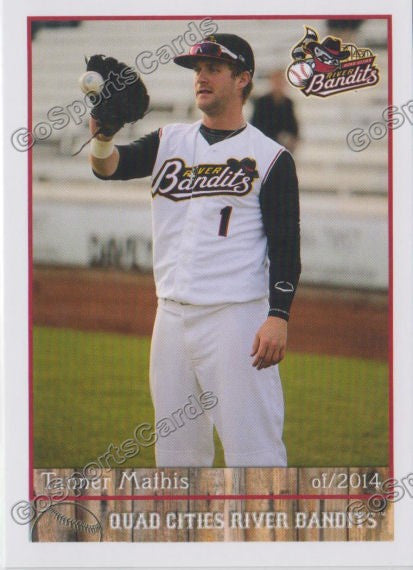 2014 Quad Cities River Bandits Tanner Mathis