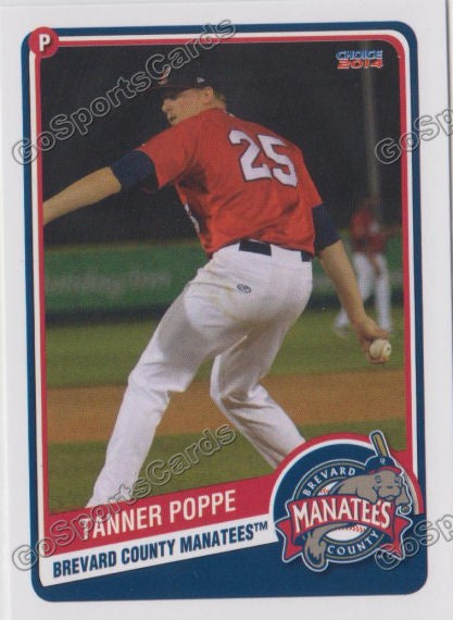2014 Brevard County Manatees Tanner Poppe