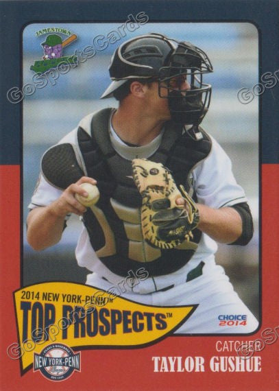 2014 New York Penn League Top Prospect NYPL Taylor Gushue