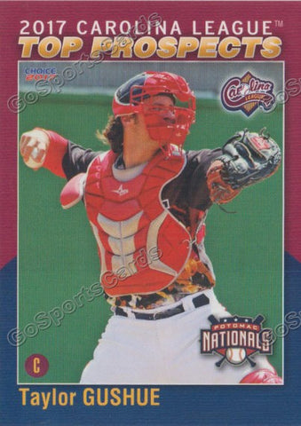 2017 Carolina League Top Prospect Taylor Gushue