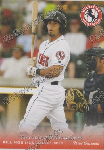 2013 Billings Mustangs Taylor Terrasas