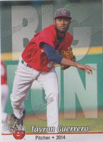 2014 Fort Wayne TinCaps Tayron Guerrero
