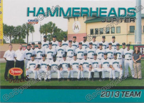 2013 Jupiter Hammerheads Team Photo