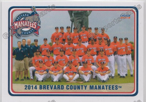 2014 Brevard County Manatees Team Photo