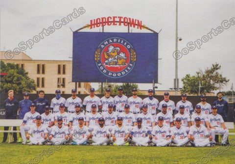 2021 Amarillo Sod Poodles Team Photo