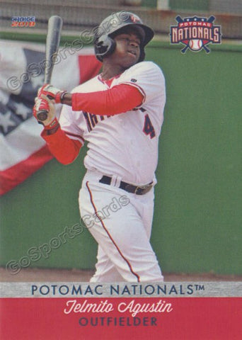2018 Potomac Nationals Telmito Agustin