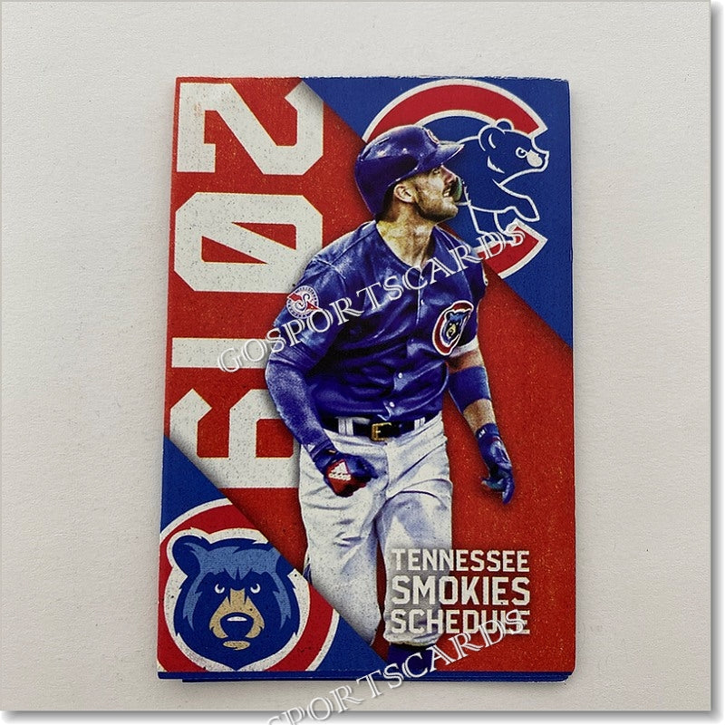 Tennessee smokies jersey hotsell