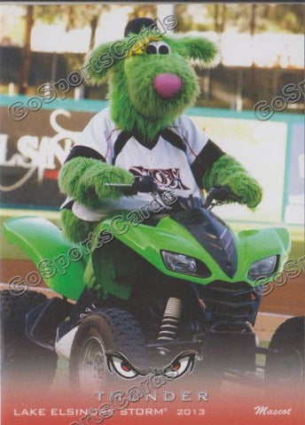 2013 Lake Elsinore Storm Thunder