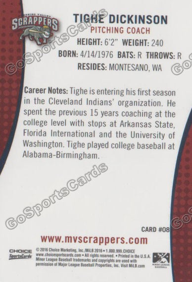 2016 Mahoning Valley Scrappers Tighe Dickinson Back of Card