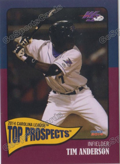 2014 Carolina League Top Prospect Tim Anderson
