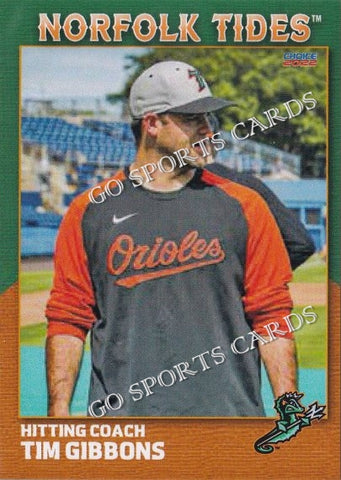 2022 Norfolk Tides 2nd Tim Gibbons