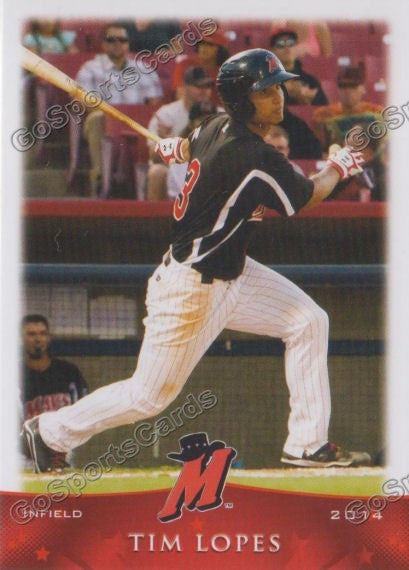 2014 High Desert Mavericks Tim Lopes