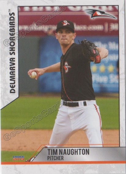 2019 Delmarva Shorebirds Tim Naughton