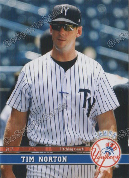 2017 Tampa Yankees Tim Norton