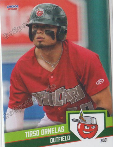 2021 Fort Wayne TinCaps Tirso Ornelas