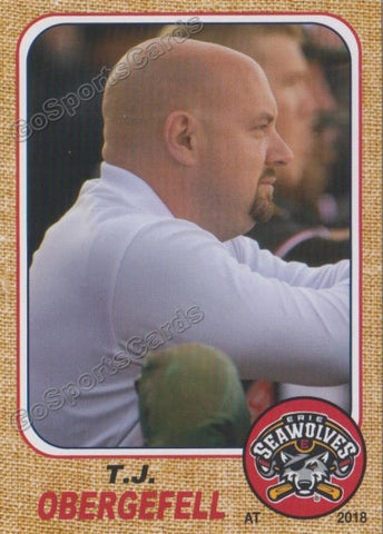 2018 Erie SeaWolves TJ Obergefell