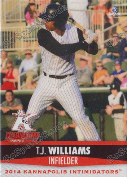 2014 Kannapolis Intimidators Tyler TJ Williams