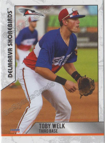 2019 Delmarva Shorebirds Update Toby Welk