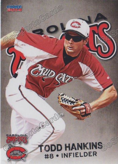 2014 Carolina Mudcats Todd Hankins