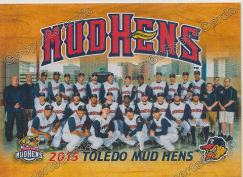 2015 Toledo Mud Hens Team Photo Checklist