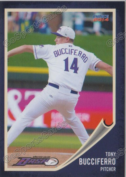 2014 Winston Salem Dash Tony Bucciferro