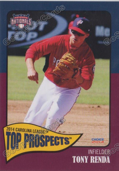 2014 Carolina League Top Prospect Tonty Tony Renda