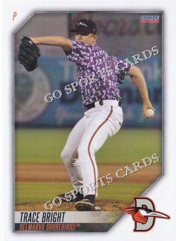 2022 Delmarva Shorebirds Trace Bright