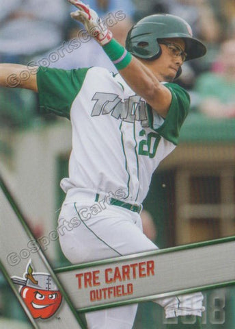 2018 Fort Wayne TinCaps Tre Carter