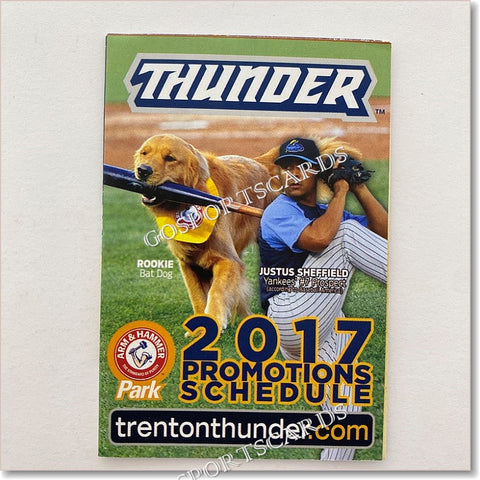 2017 Trenton Thunder Pocket Schedule