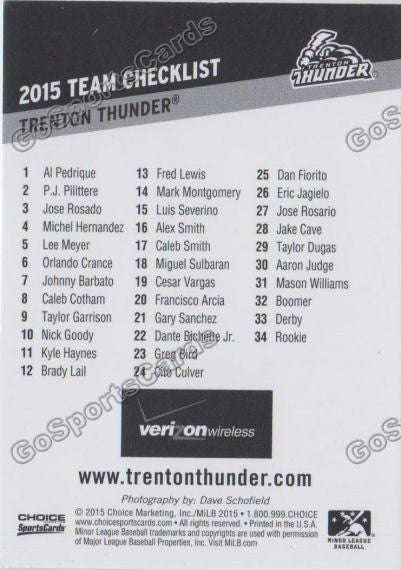 2015 Trenton Thunder Checklist