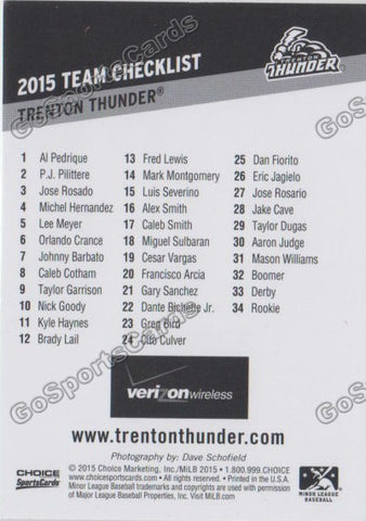 2015 Trenton Thunder Checklist