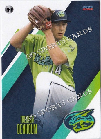 2022 Lynchburg Hillcats Trenton Denholm