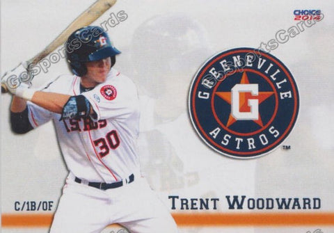 2014 Greeneville Astros Trent Woodward