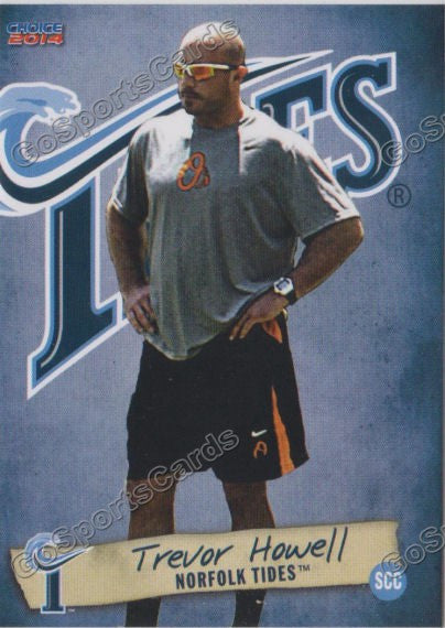 2014 Norfolk Tides Trevor Howell