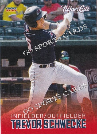 2023 New Hampshire Fisher Cats Trevor Schwecke