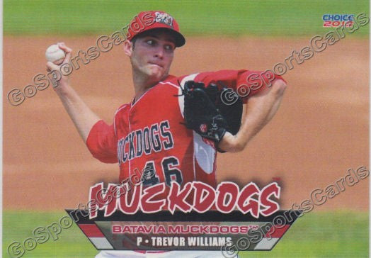 2013 Batavia Muckdogs Trevor Williams