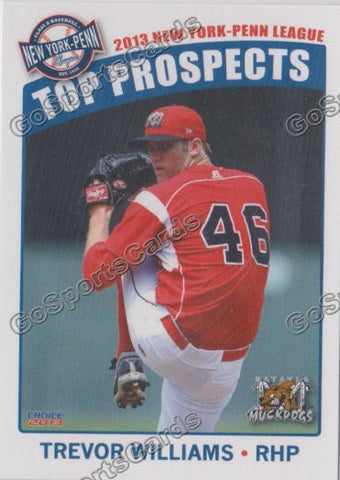 2013 New York Penn League Top Prospect NYPL Trevor Williams